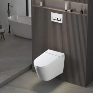 W220 Inodoro suspendido blanco con bastidor